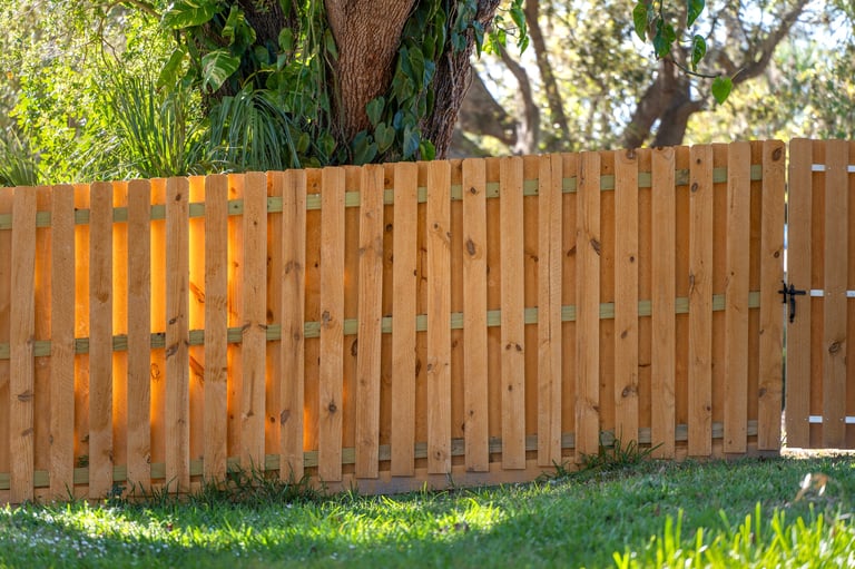 Wooden fence cleaning